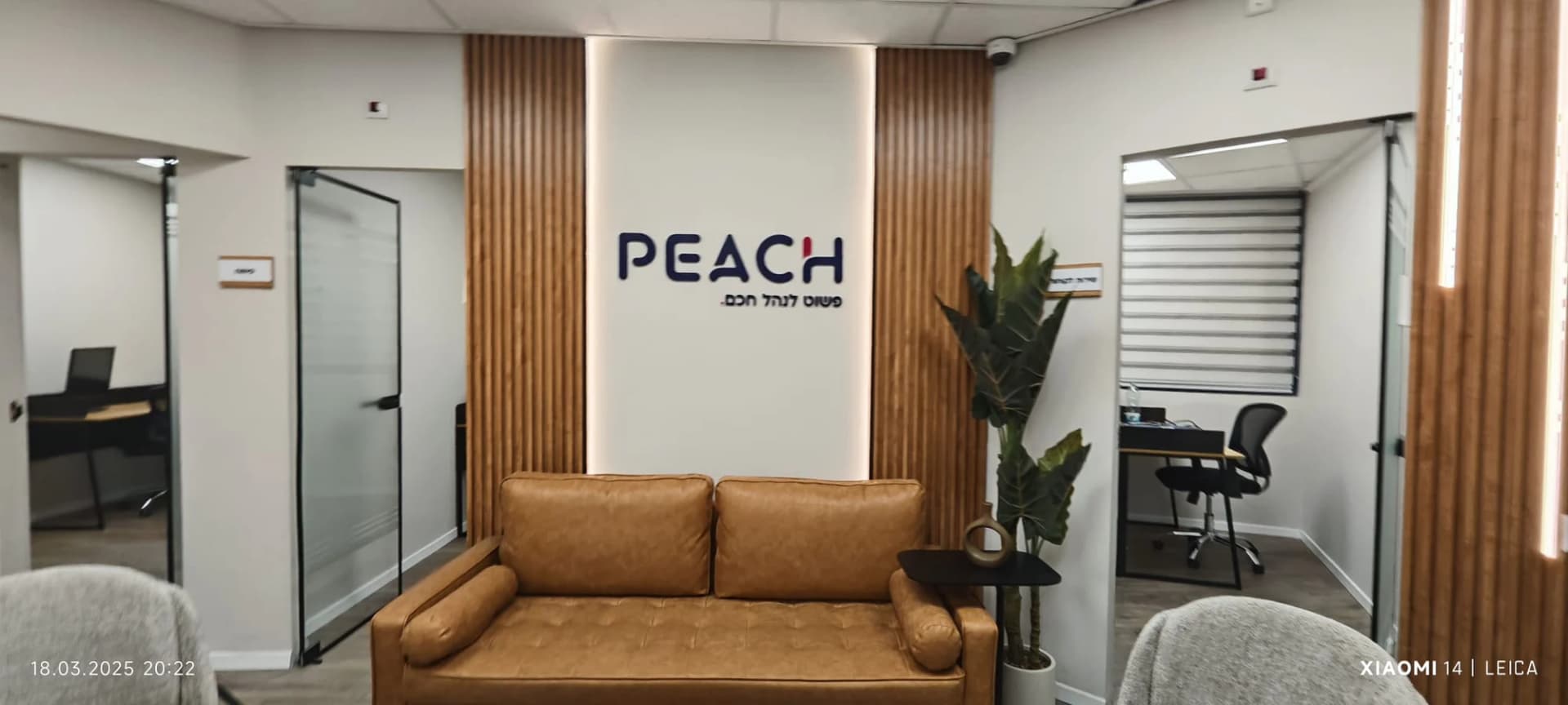 המרחב של PEACH IMPACT